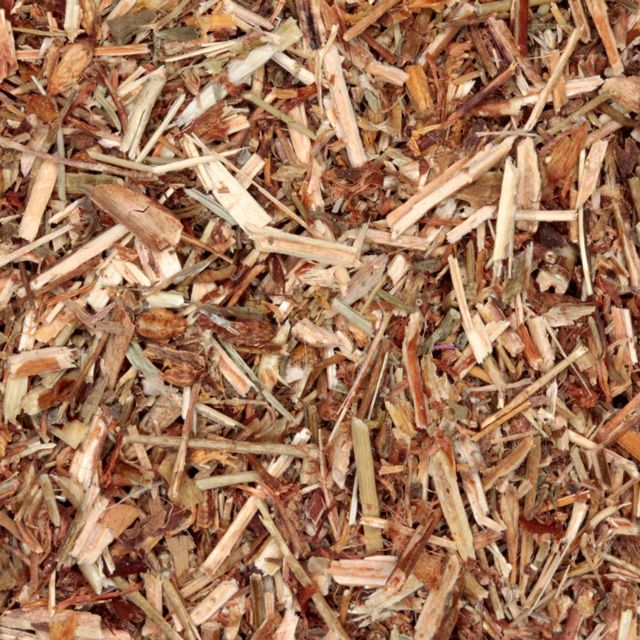 Sint-Janskruid (St. John's Wort) (Hypericum perforatum) - BIO