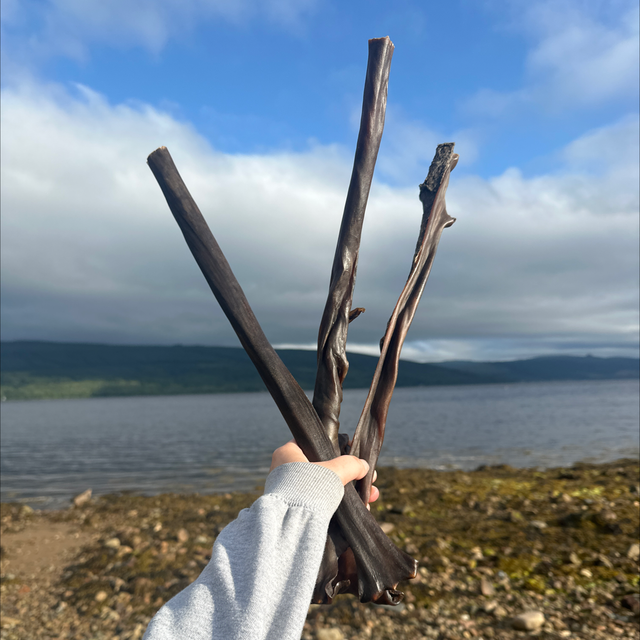 Giant Deer Stick