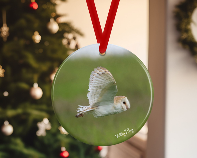 "Barn Owl Flight" Ceramic Christmas Decoration    