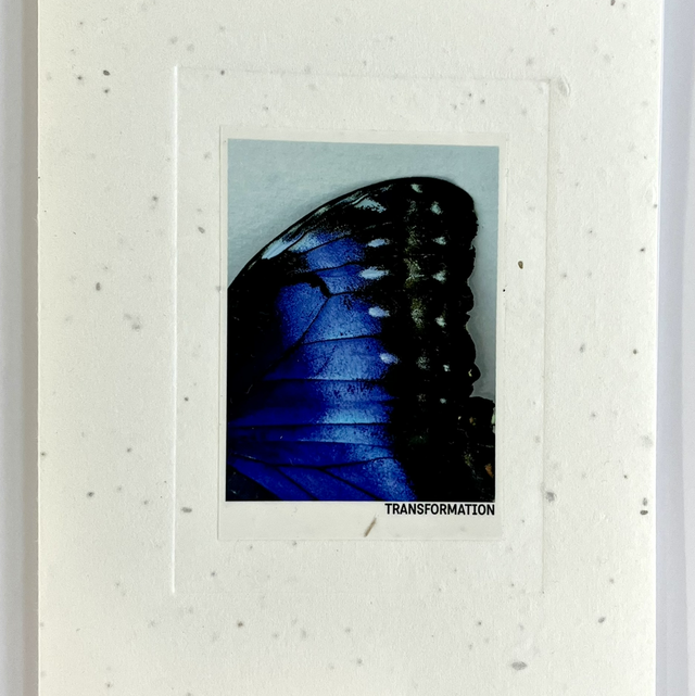 Transformation Photo Book