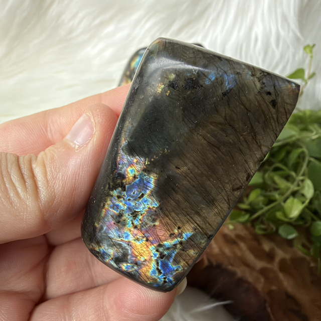 Labradorite Freeform 