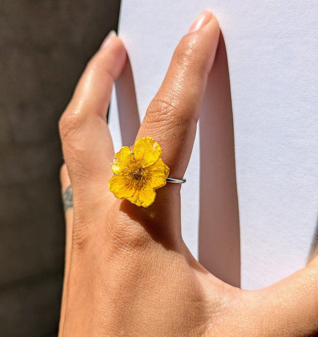 Anillo botón de oro 