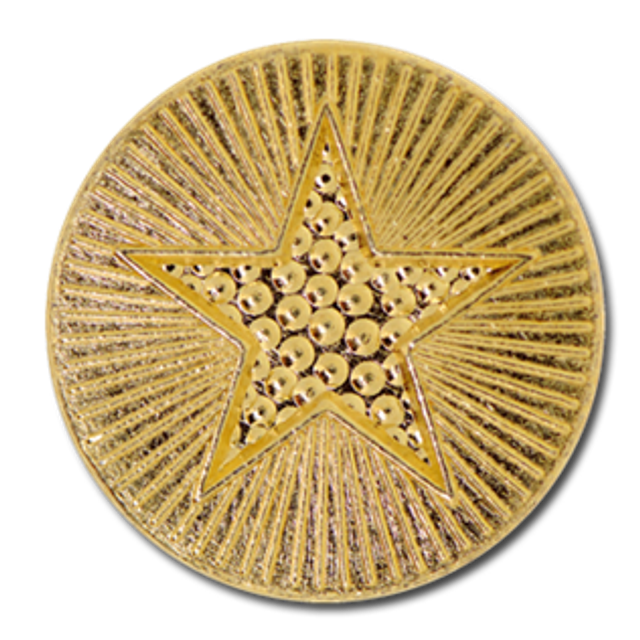 (1) Star Badge - Gold