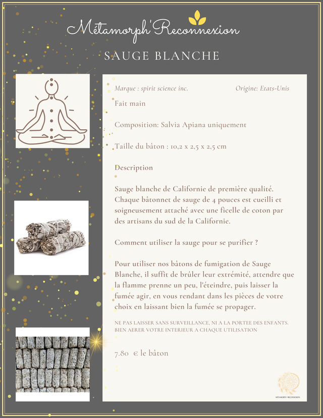 Sauge blanche Salvia Apiana