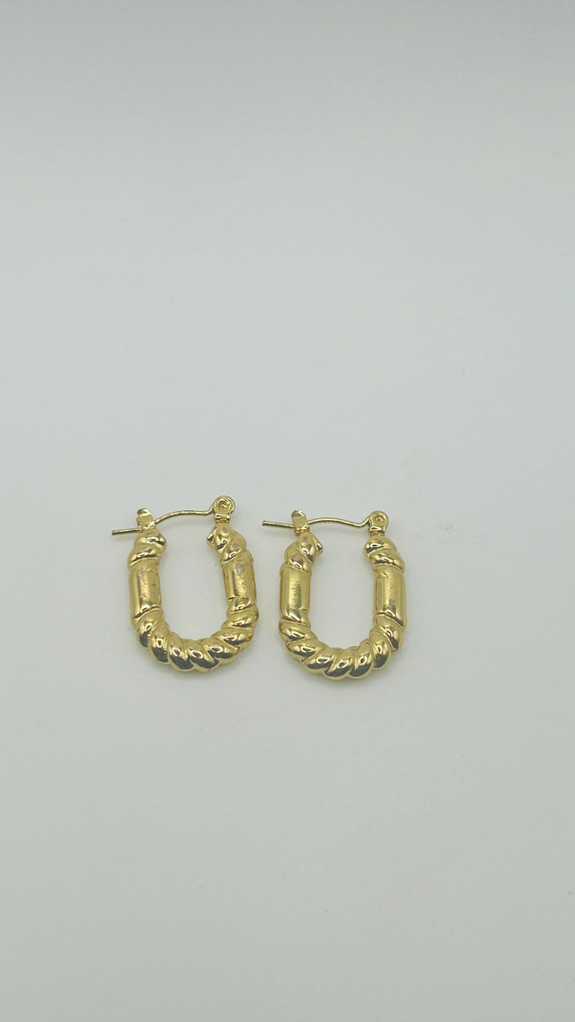 Stainless Steel Earrings (SSE17J)
