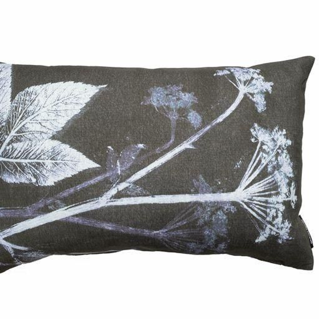 BotanikKissen mit Giersch-Motiv in dunkelblau