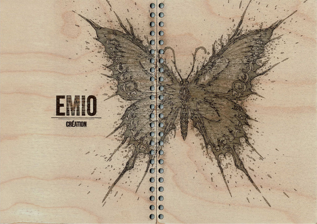 🦋 CARNET PAPILLON