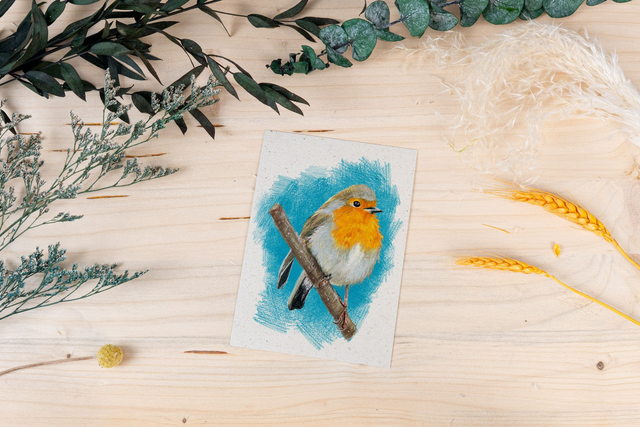 Graspapierkarte - Fluffy Rotkehlchen