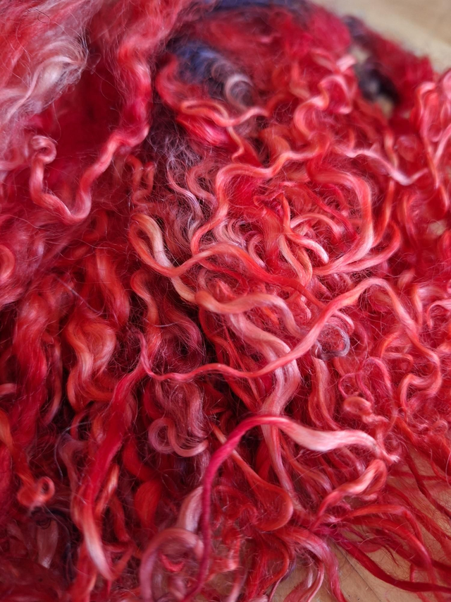 Boucles01108 Teeswater teinte main 62g