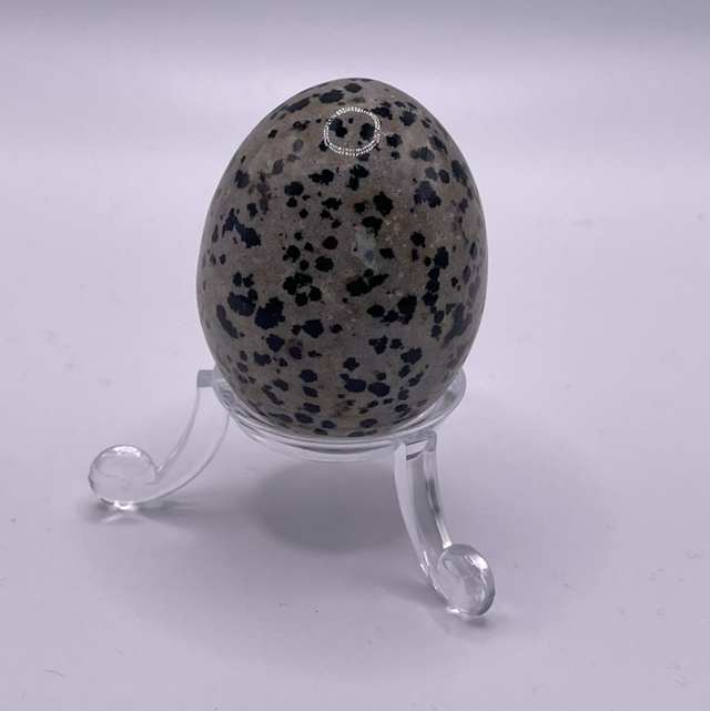 Dalmatian Jasper Egg