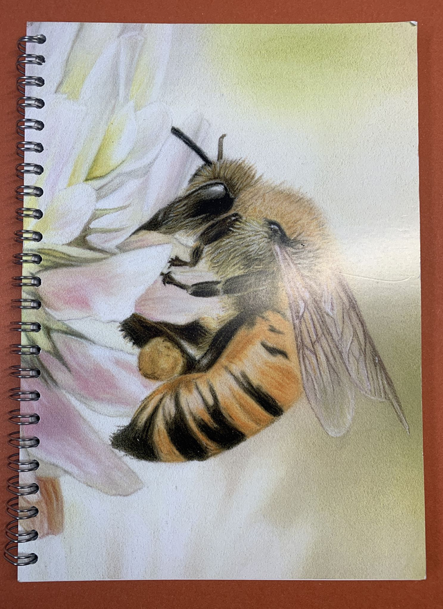Notebook - Bee on Clover