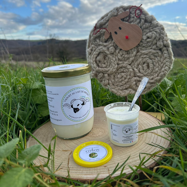 Yaourt citron 