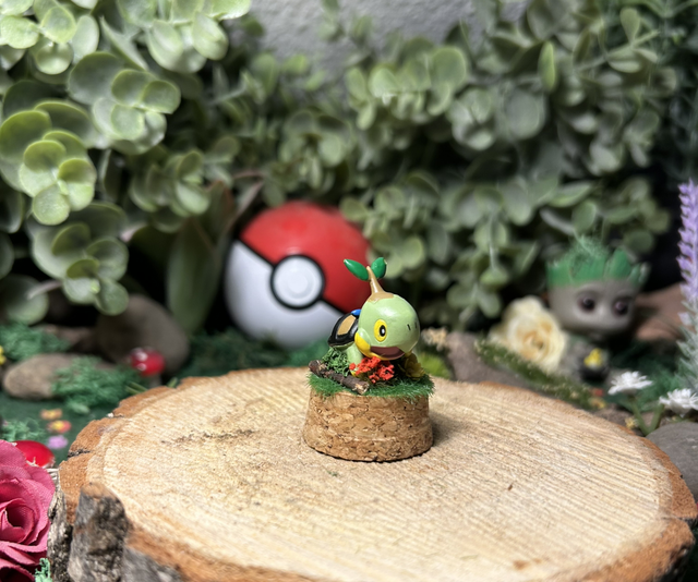 Mini Cloche - Tortue sylvestre moussue