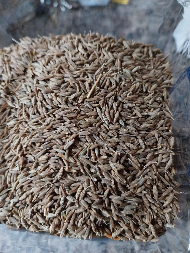 Cumin Seeds 40g