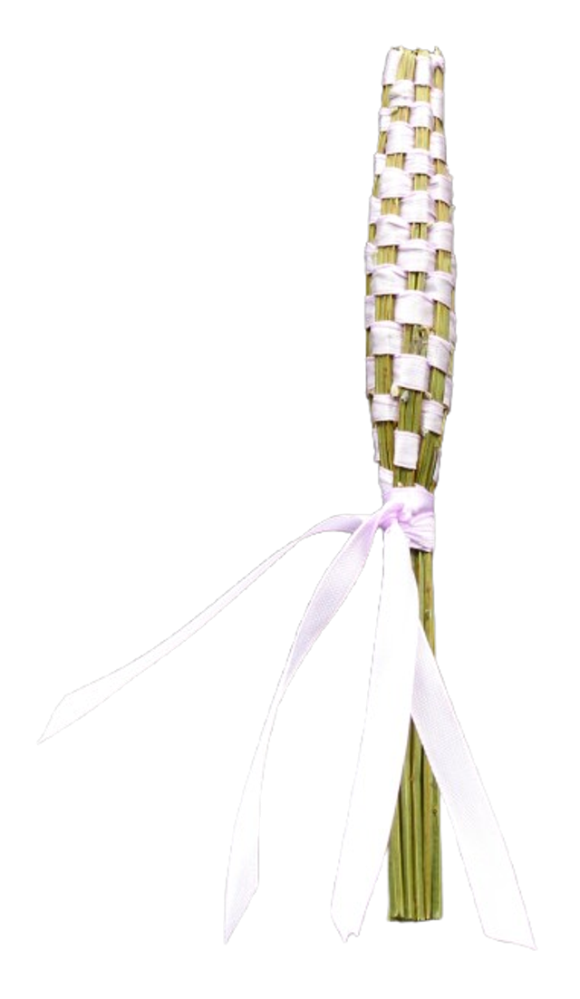 Navettes de Lavande Bio