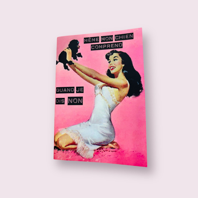 Petit carnet Même mon chien comprend quand je dis non