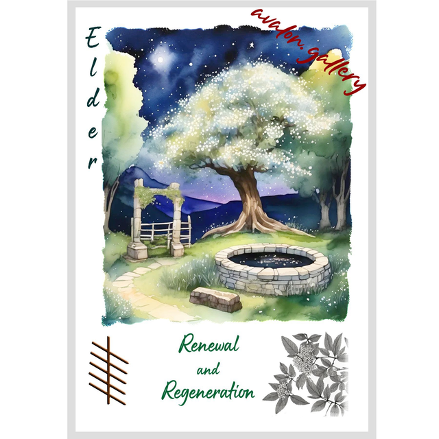 35. Elder - 'Renewal and Regeneration'