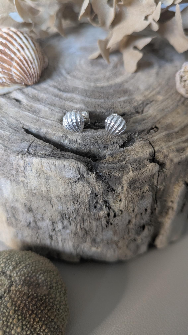 Shell studs 