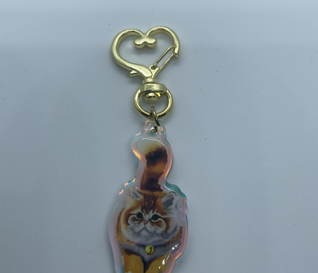 Sleutelhanger chubby Little kat