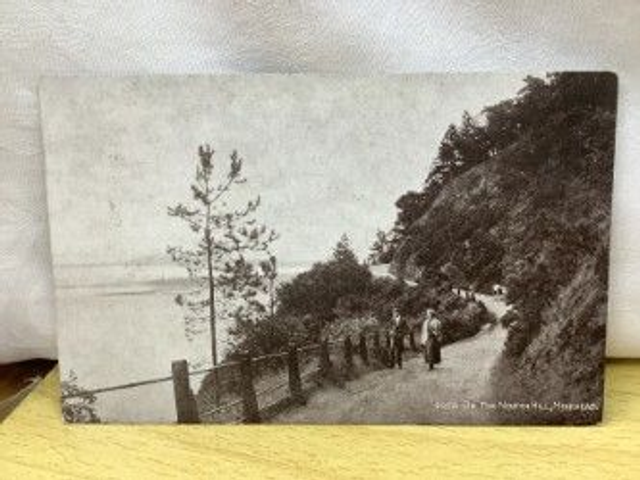 On The North Hill, Minehead, Somerset, vintage J. Salmon Sepio Series Postcard. Our Ref No. R511 £2.25
