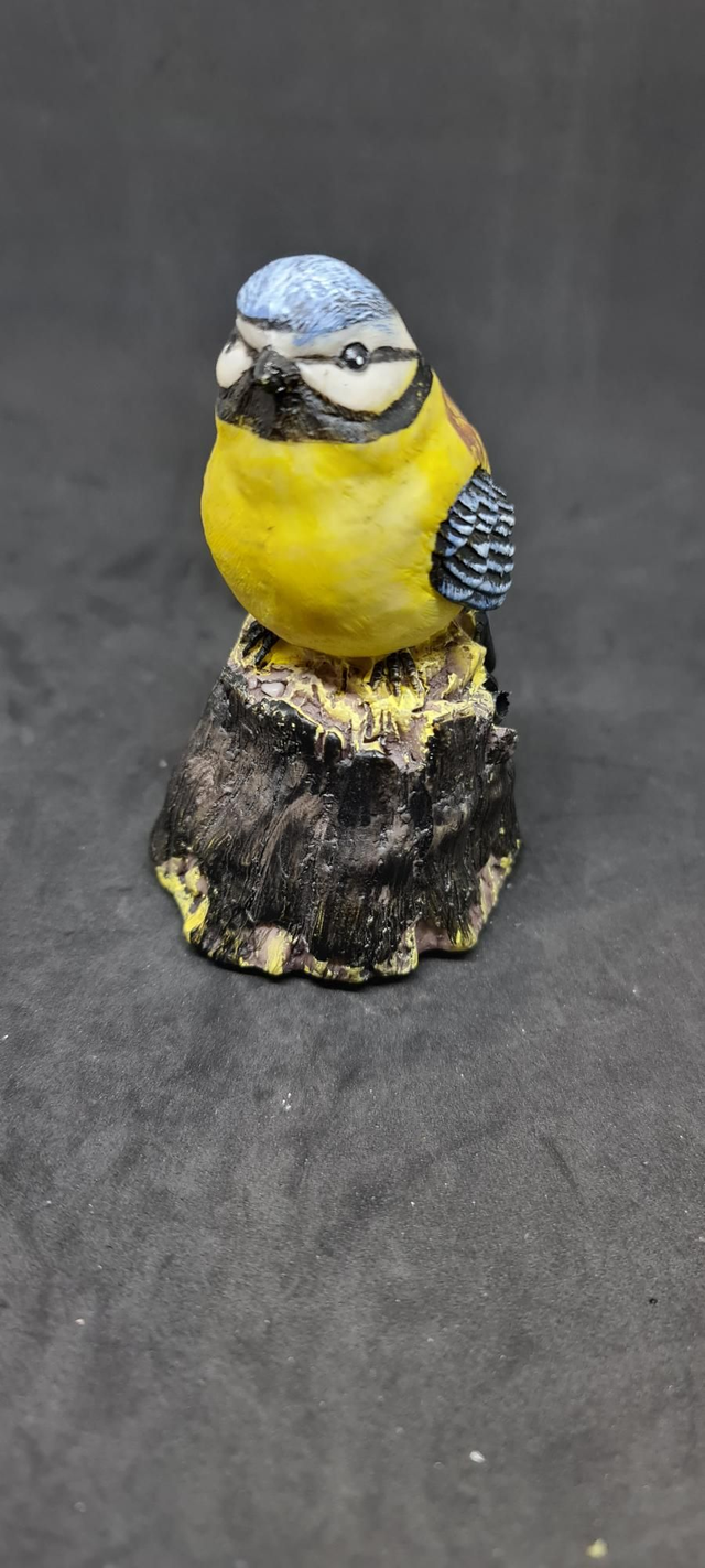 Oiseau mésange chanteur 