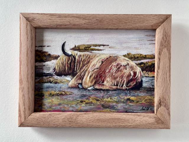 ‘Highland Cow 2’ - original acrylic painting 