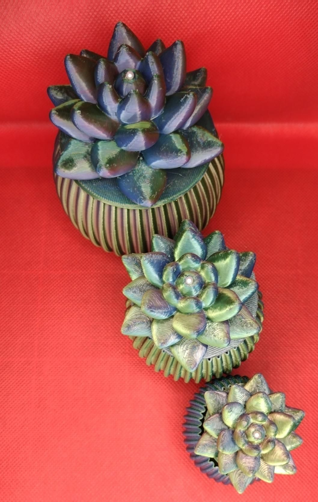 Lot de 3 boites cactus de 7,5 , 6 et 5 cm
