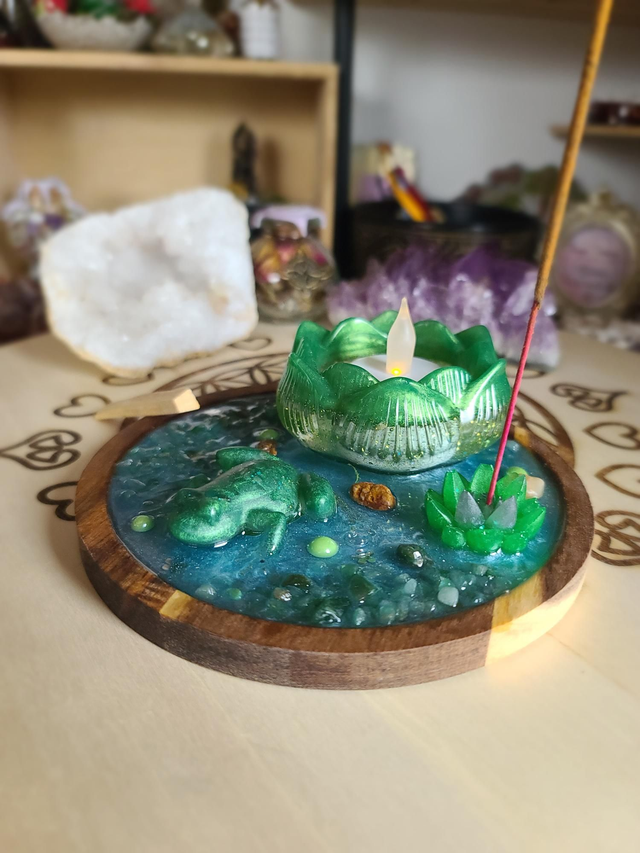 Plateau de fumigation 🐸 Métamorphose de la grenouille rond