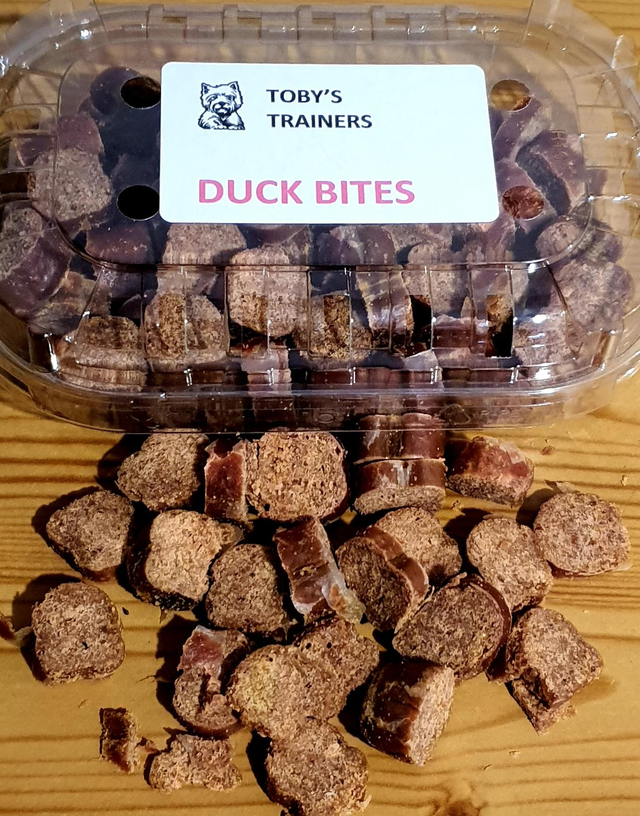DUCK BITES🦆🦆