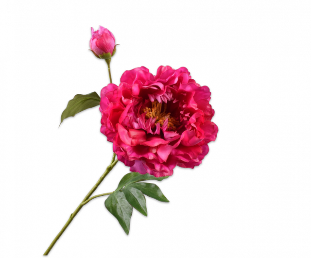 Silk-Ka Pioen Tak Beauty 79cm