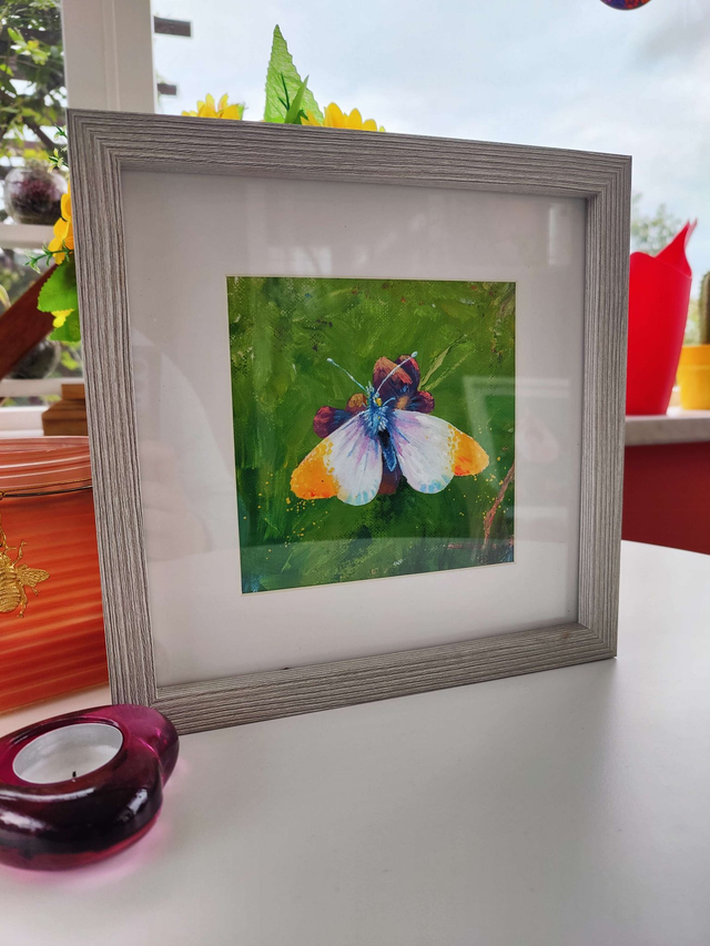 Orange Tip Butterfly Painting