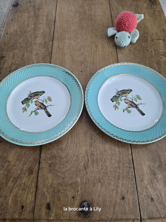 Assiettes plates Badonviller 