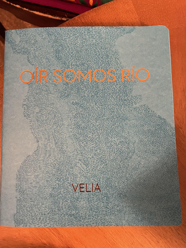 Oír somos río / Flussrauschen: Edición bilingüe  español-alemán/Spanisch-Deutsch - Godula Buchholz, Velia Vidal