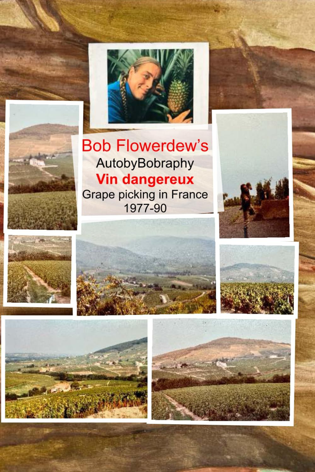 12 Vin dangereux / Vendange heureux