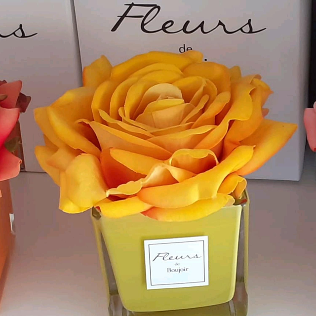 profumambienti fleur de journe 