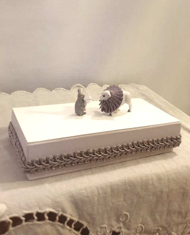 Le lapin amoureux d'un agneau 