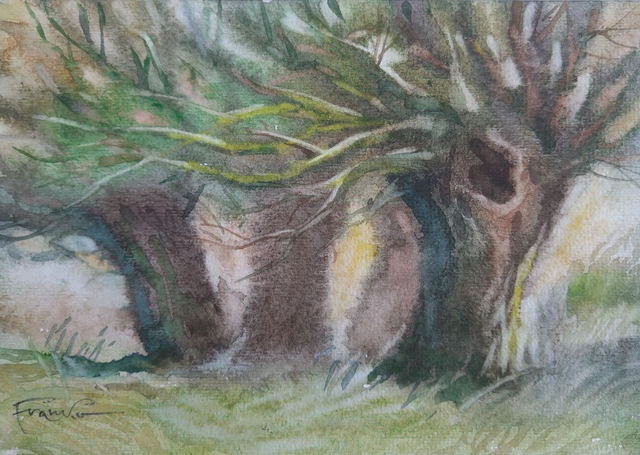 Wierzby, 21x30 (15x21 w świetle passe-partout) akwarela