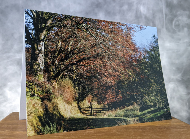 Autumn Walk Blank Card