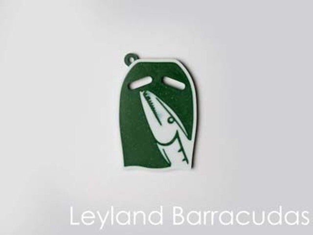 Leyland Barracudas