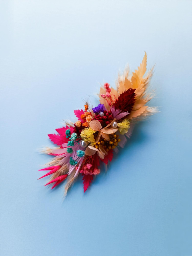 Barrette Multicolore 