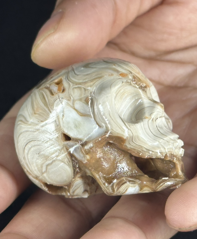 Skull - Agate