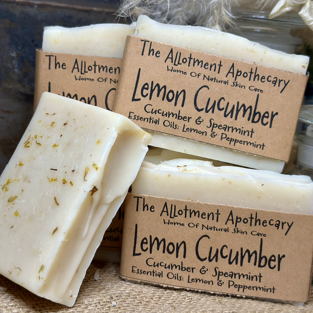 Lemon Cucumber Large