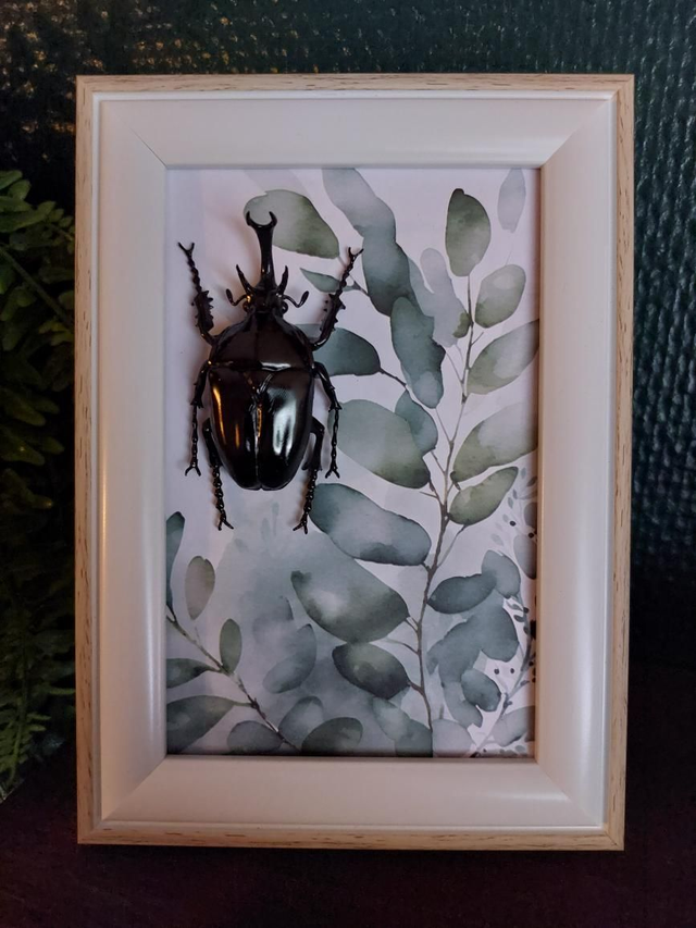 Cadre feuille verte avec scarabée en résine 