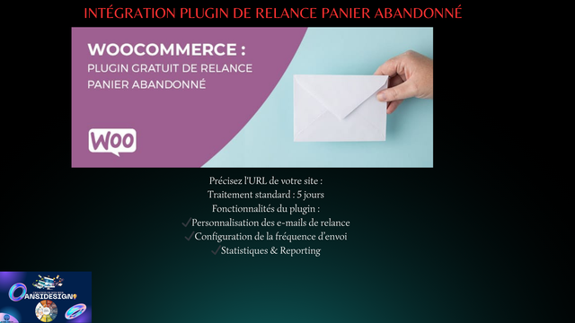Intégration plugin de relance panier abandonné