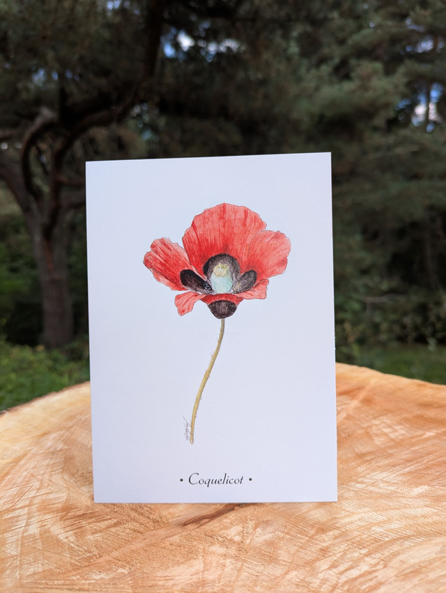 Carte postale Coquelicot