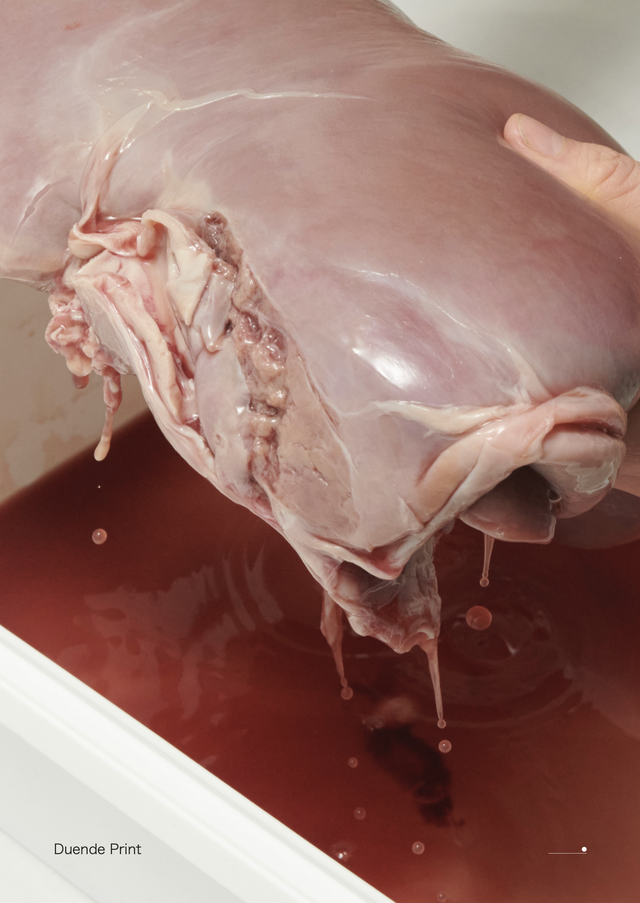 Offcuts, Liver (2nd Edition) - Sophie Hambling & Madeleine Sanders