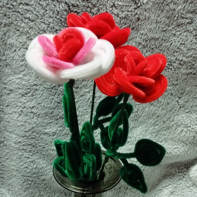 Rose blanche et rose