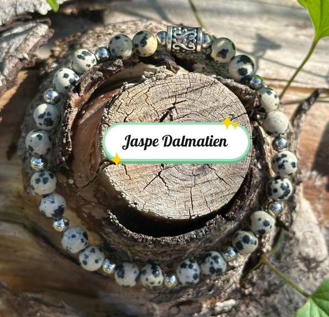 Bracelet de Jaspe Dalmatien 