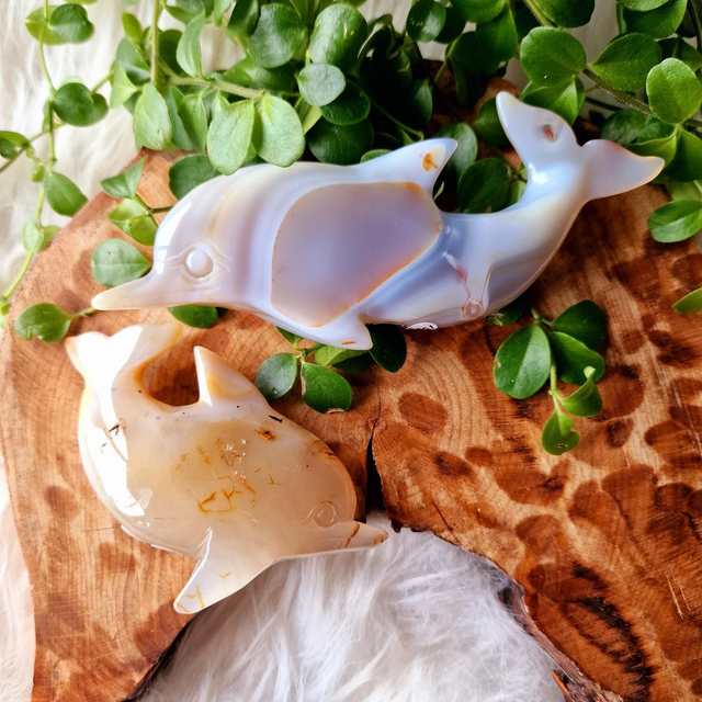 Agate Dolphin Carving 