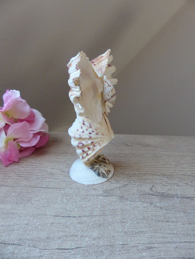 Statuette Chouette Hibou Vintage Coquillages Souvenir de Vacances, Sculpture Hibou en Coquillages, Artisanat d'Art Français, Home décor